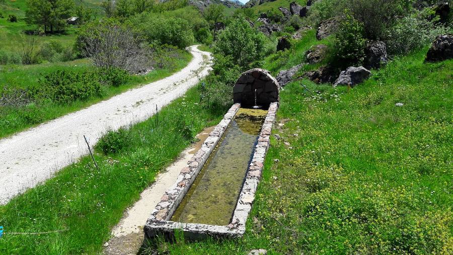 La riqueza y biodiversidad del Alto Bernesga es excepcio- nal, debido a su ubicación biogeográfica en la zona de transición entre la España mediterránea y la España atlántica, disfrutando de especies arbóreas de ambas regiones separadas por escasos metros. La Reserva de la Biosfera del Alto Bernesga fue declara- da por la UNESCO en 2005. Desde entonces, han sido numerosos los pasos que se han dado hacia la consoli- dación de la misma, basados todos ellos en programas y procesos donde la participación ciudadana es prioritaria. 