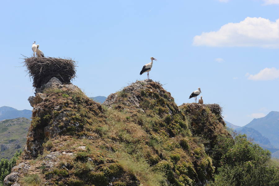 Fotos: Reserva de la biosfera de Babia, paraíso natural