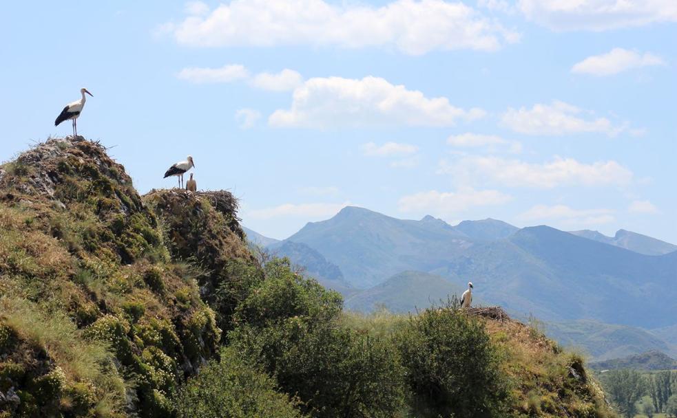 Reserva de la biosfera de Babia. 