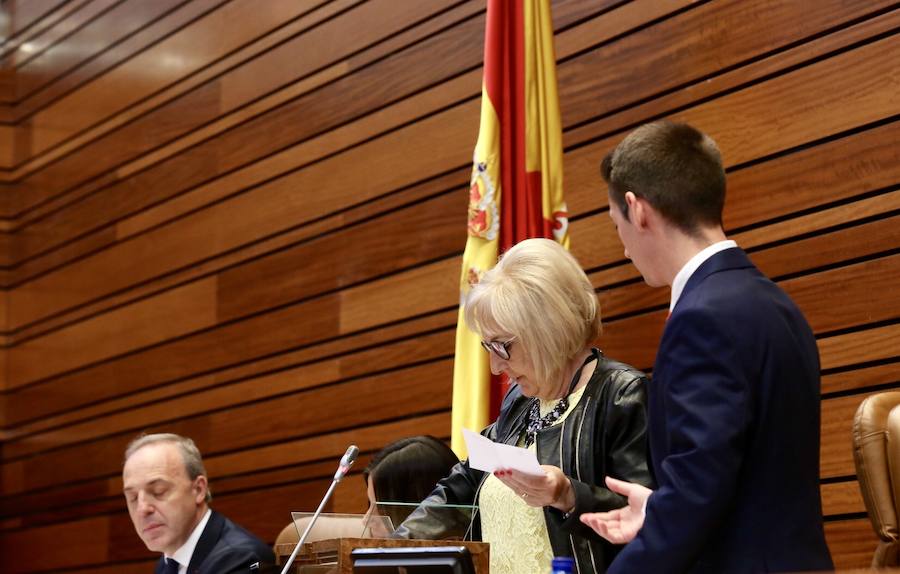 Fotos: Sesión Constitutiva de las Cortes de Castilla y León de la X legislatura