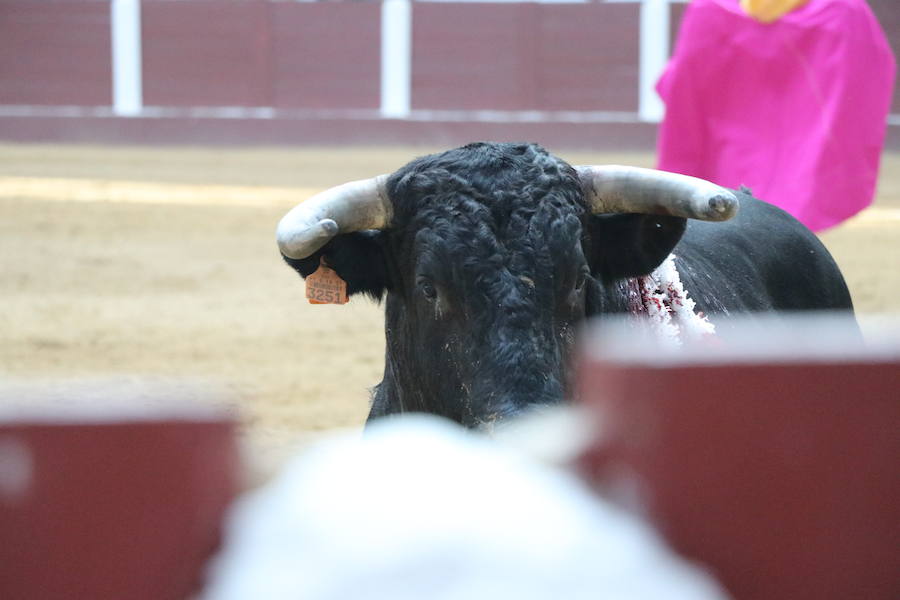 Fotos: Corrida de rejones en la Plaza de Toros de León