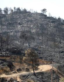 Imagen secundaria 2 - Los bomberos consiguen estabilizar el 80% del incendio de Tarragona