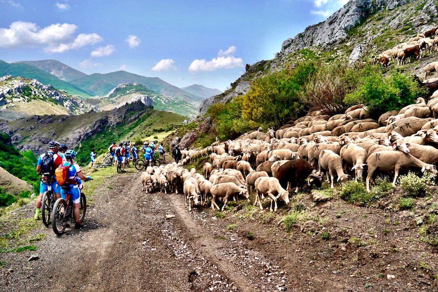 Fotos: Momentos del #retoBttBierzoBabia organizado por la Fundación Bas Van der Goor
