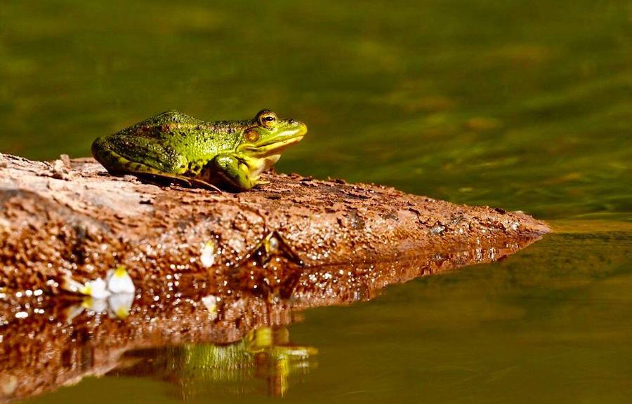 Fotos: Momentos del #retoBttBierzoBabia organizado por la Fundación Bas Van der Goor