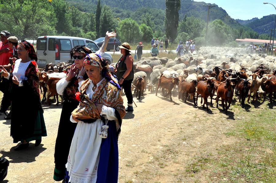 Con la Fiesta de la Trashumancia, celebrada el sábado en la localidad montañesa de Prioro, Promonumenta ha iniciado una actividad complementaria a sus tradicionales visitas a monumentos como es el apoyo a bienes patrimoniales de carácter inmaterial, de los cuales es riquísima la provincia de León