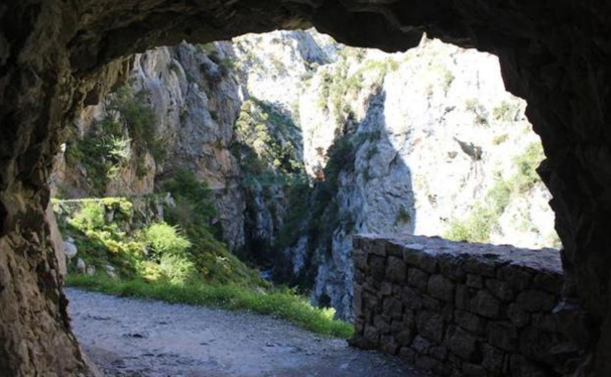 Rescatadores en Picos: «Vendemos la Ruta del Cares como si fuera un paseo y se suma gente sin preparación ni ropa adecuada»