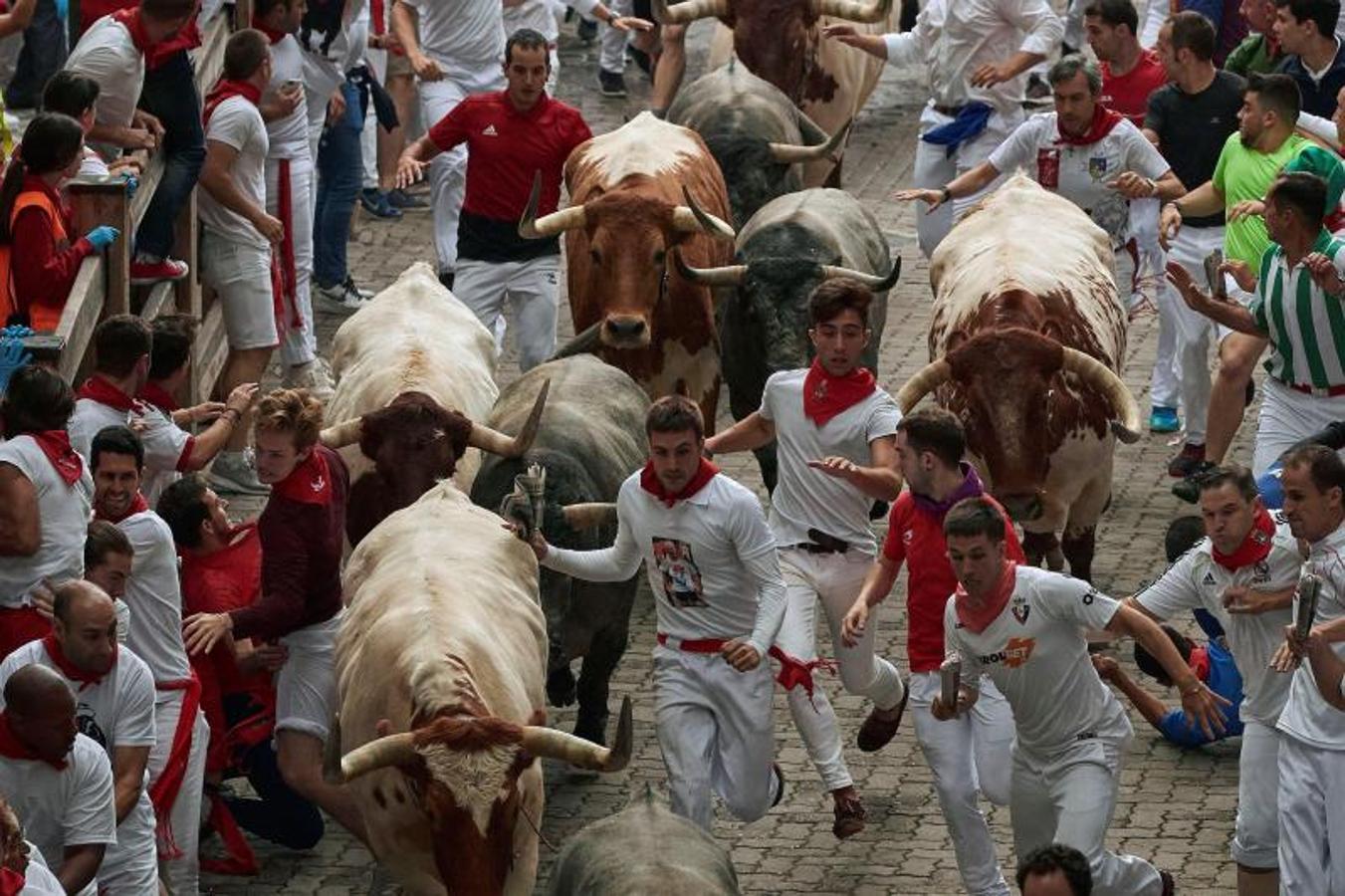 Fotos: Los toros de José Escolar protagonizan un encierro rápido y limpio