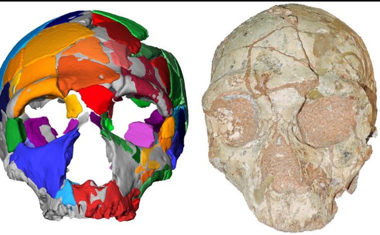 Restos del cráneo llamado Apidima 2.