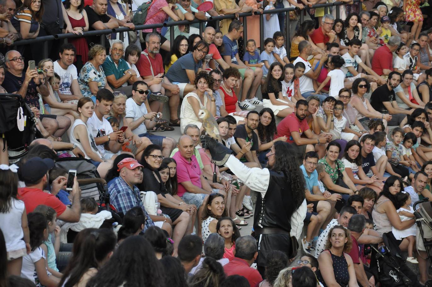 Fotos: X feria del mercado medieval en Valencia de Don Juan