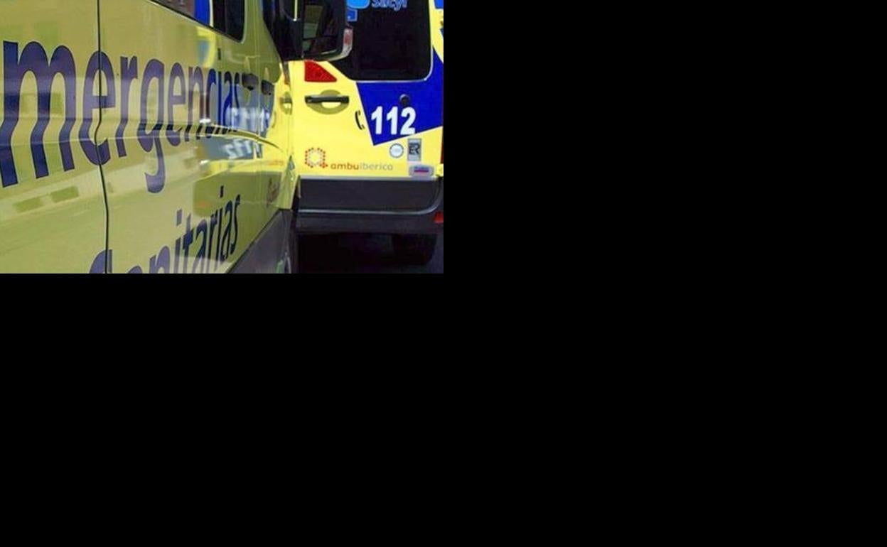 Herido el conductor de una furgoneta tras una aparatosa salida entre Villadangos y San Miguel del Camino