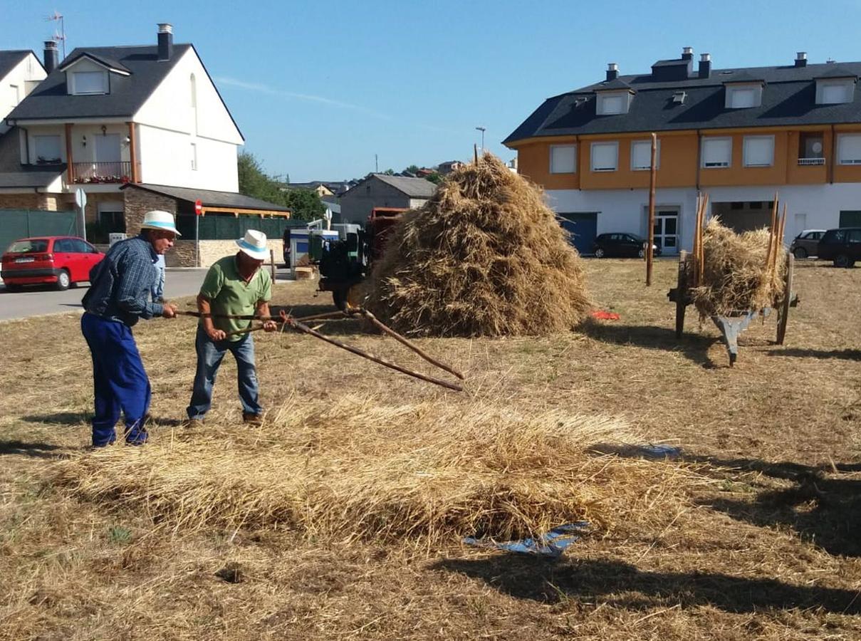 Fotos: Fiesta de la Maja en Camponaraya