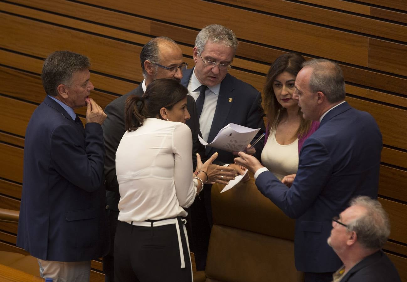 Los votos a favor de PP y Ciudadanos han convertido al vitoriano Javier Maroto en nuevo senador autonómico por Castilla y León | El vicesecretario de Organización del PP (sin vinculación anterior con la comunidad) ha sido elegido como miembro de la Cámara Alta, junto con los socialistas Teresa López y Fran Díaz, en una votación conjunta, no exenta de polémica.