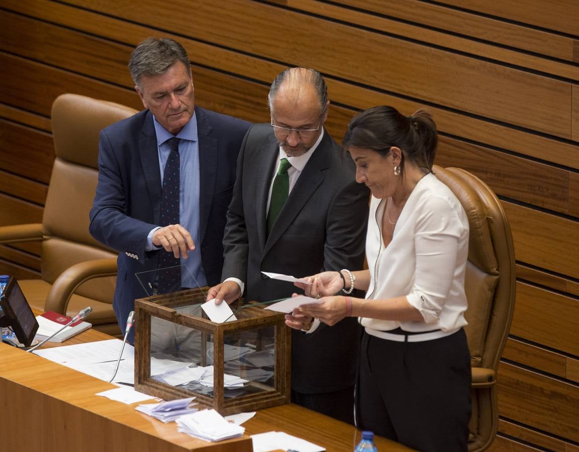 Los votos a favor de PP y Ciudadanos han convertido al vitoriano Javier Maroto en nuevo senador autonómico por Castilla y León | El vicesecretario de Organización del PP (sin vinculación anterior con la comunidad) ha sido elegido como miembro de la Cámara Alta, junto con los socialistas Teresa López y Fran Díaz, en una votación conjunta, no exenta de polémica.