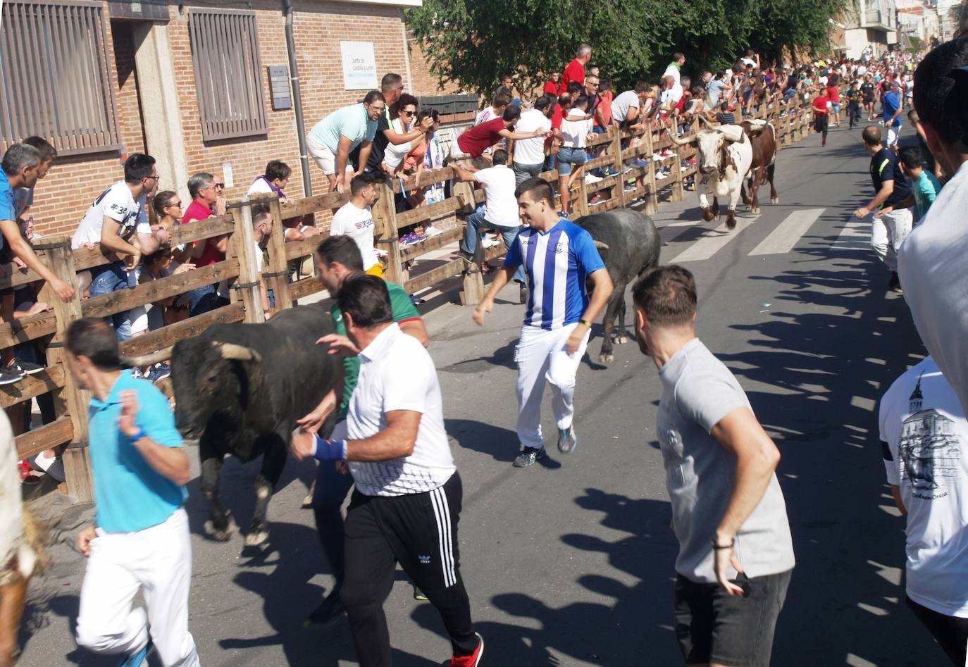 Encierro por las calles de Íscar.