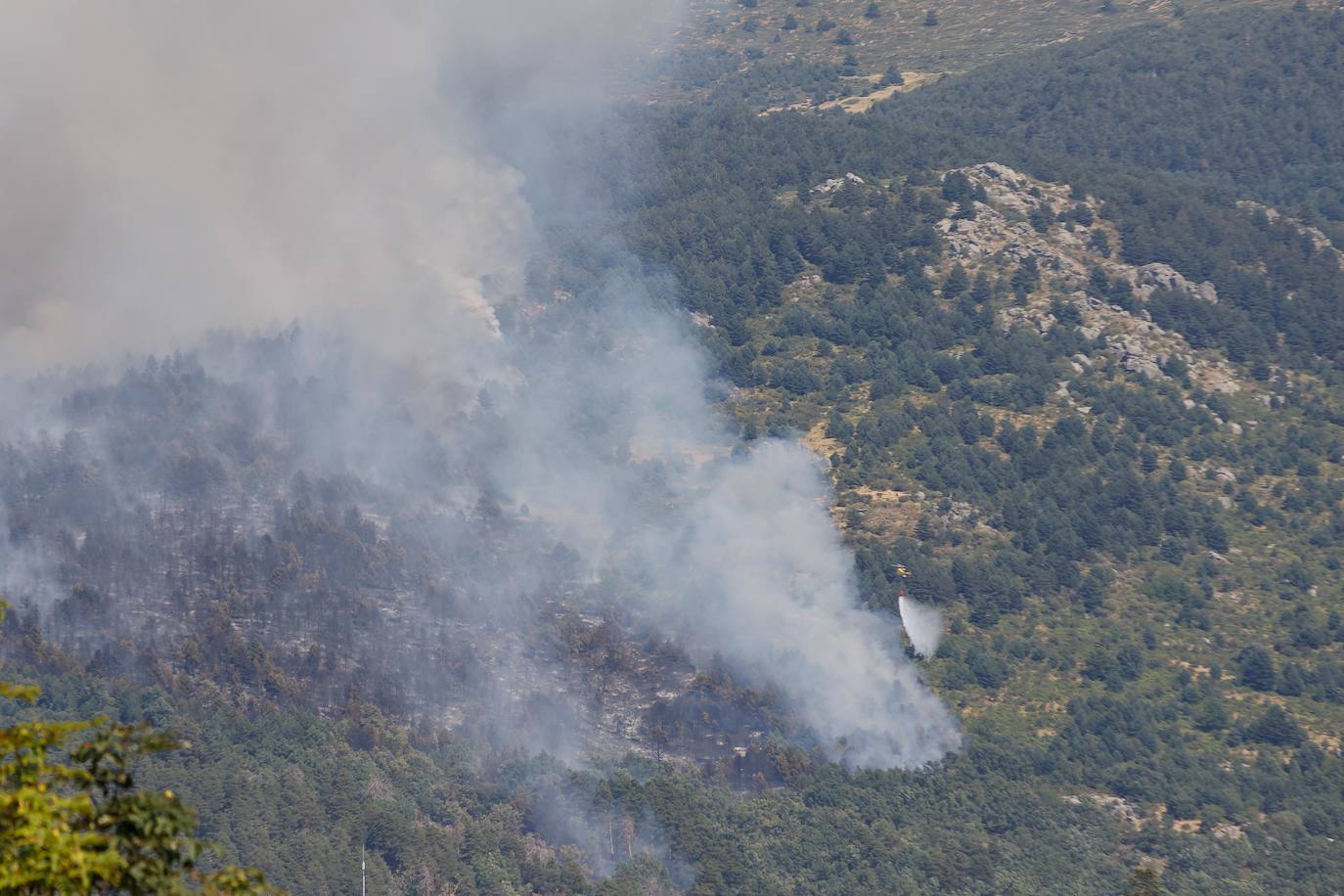 Fotos: Incendio cerca de la fuente de los Infantes en la Granja de San Ildefonso (Segovia)