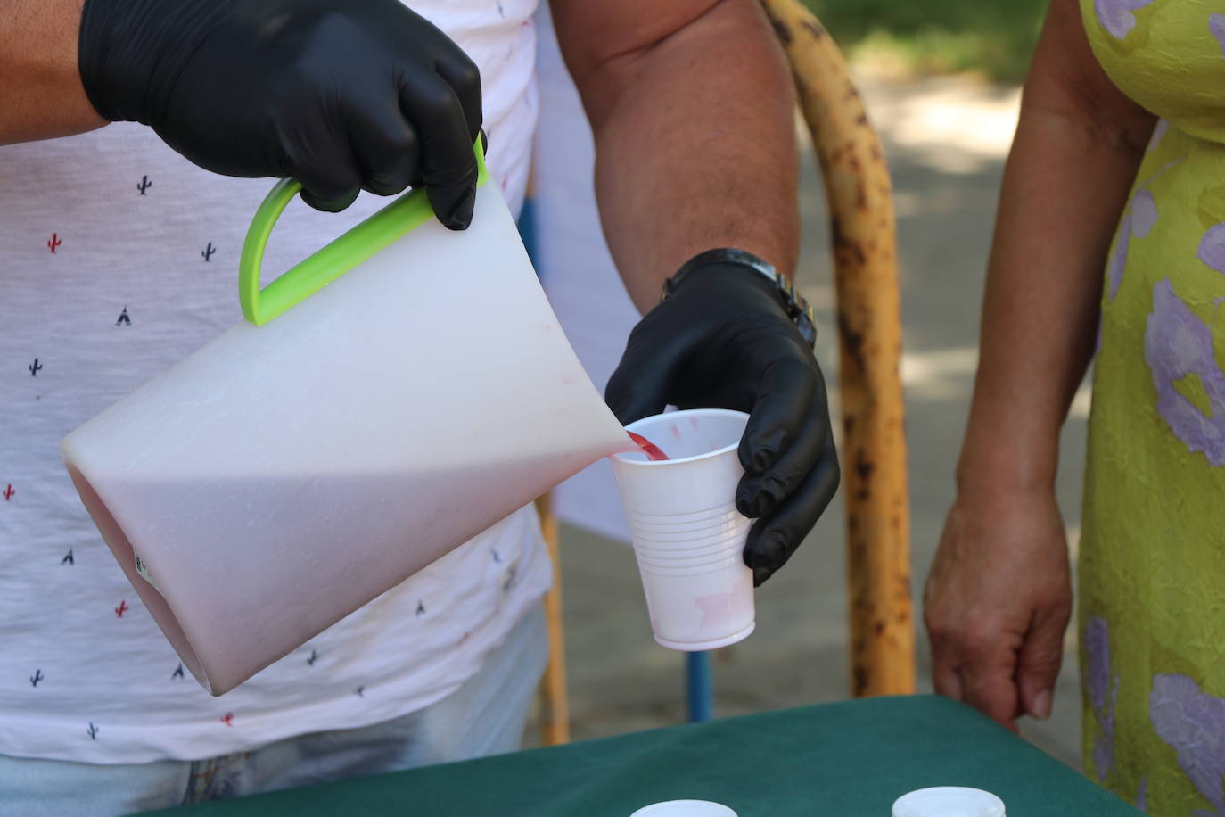 Los pendones de la comnarca lucen en el Día de Asturias en Valencia de Don Juan. 