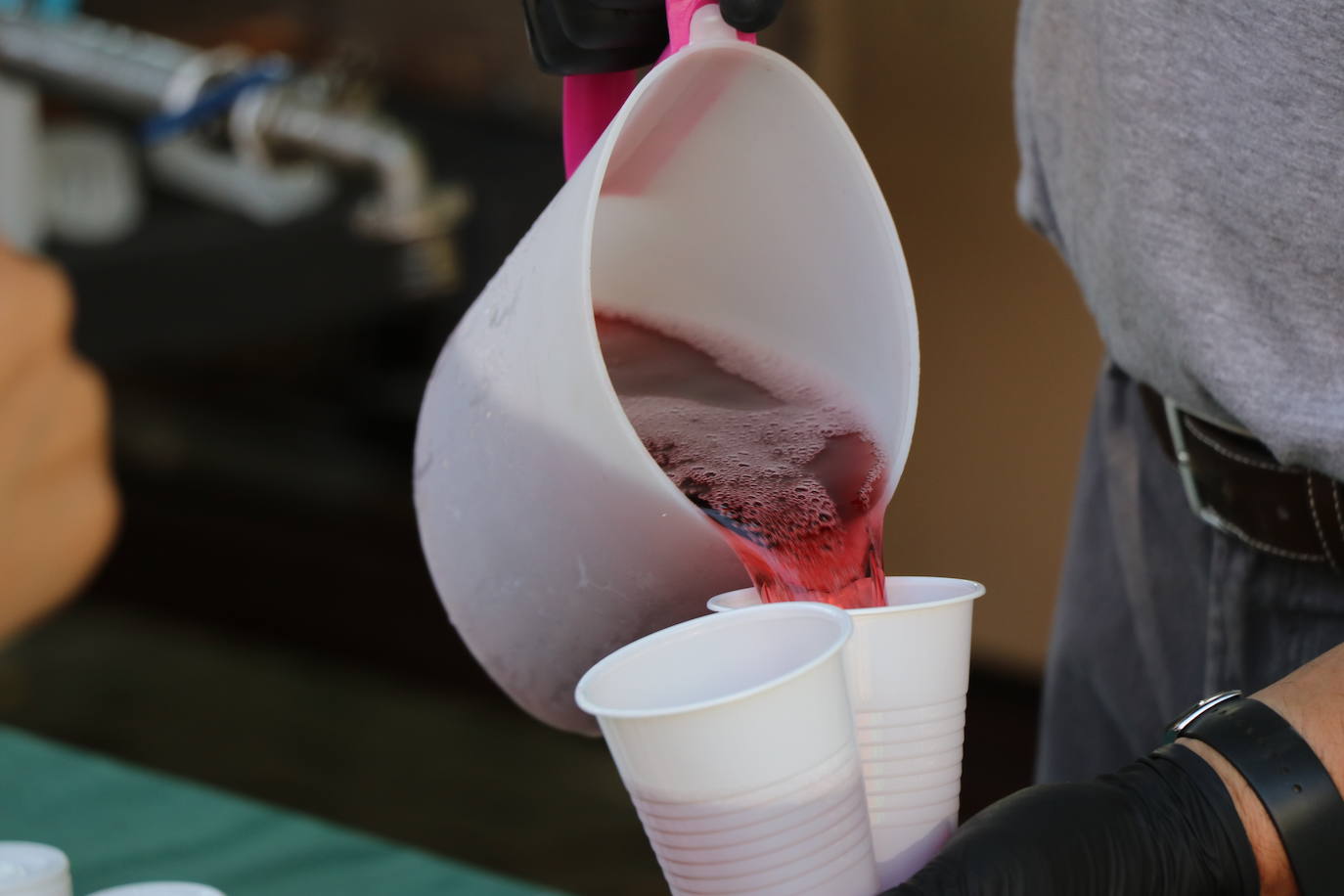 Los pendones de la comnarca lucen en el Día de Asturias en Valencia de Don Juan. 