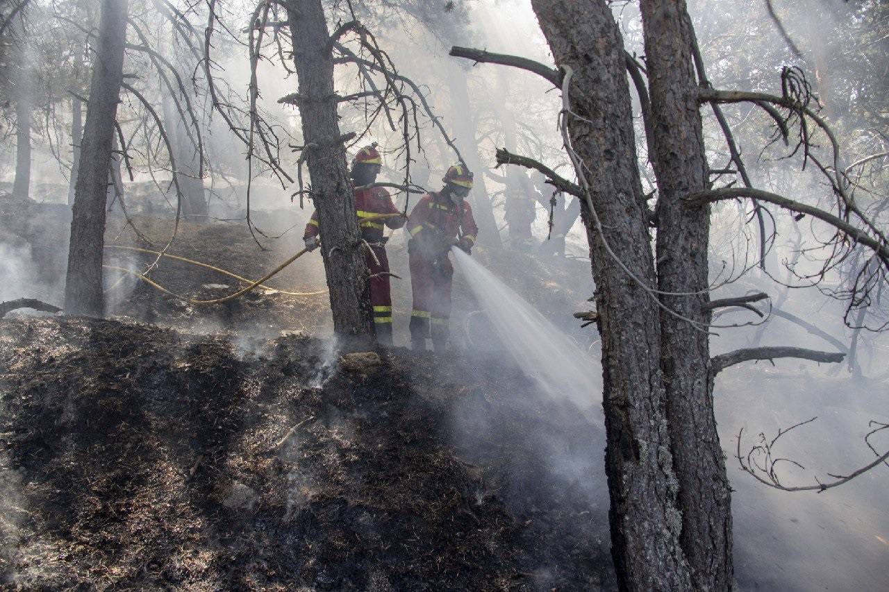 Fotos: El batallón leonés de la UME llega al incendio de La Granja