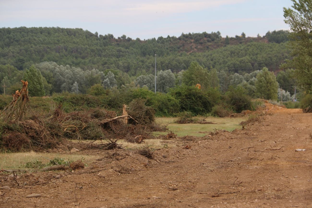 Las máquinas han realizado este viernes los primeros movimientos de tierra en la zona Este.