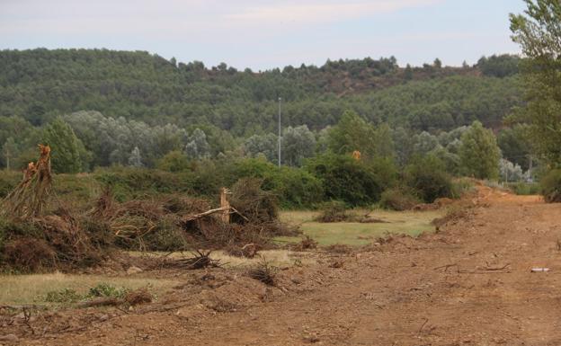 Galería. Imágenes de los primeros movimientos de tierra este viernes.