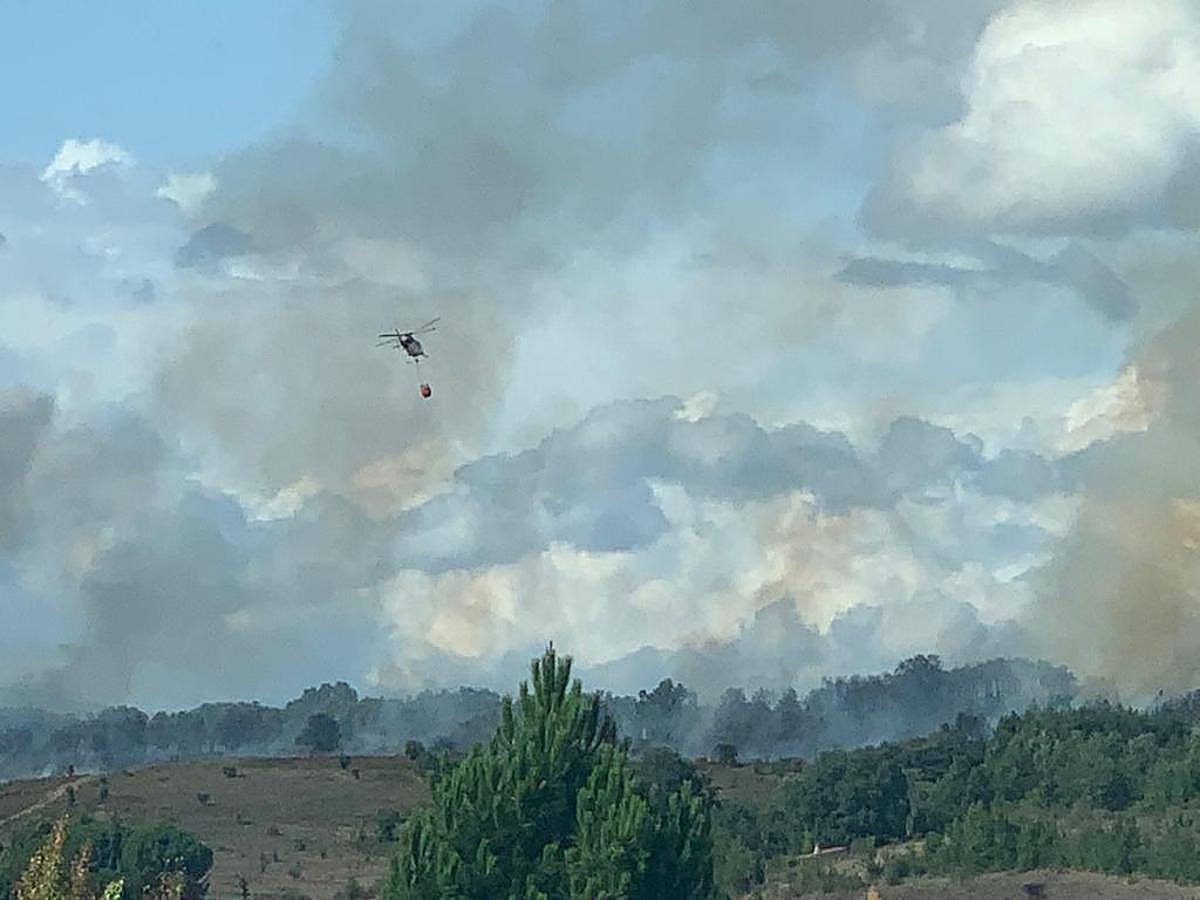 Fotos: Incendio en La Copona