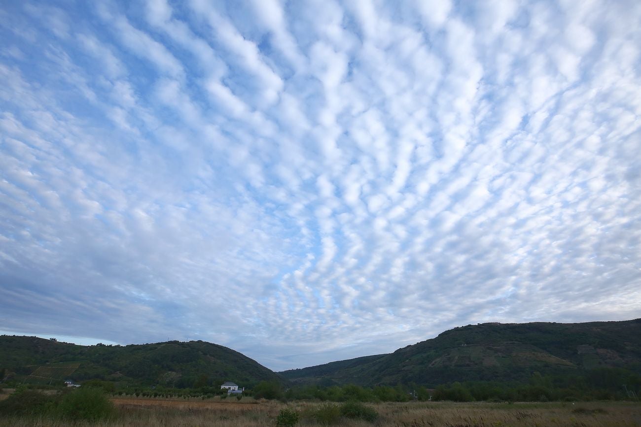 Cirrocúmulos en El Bierzo.