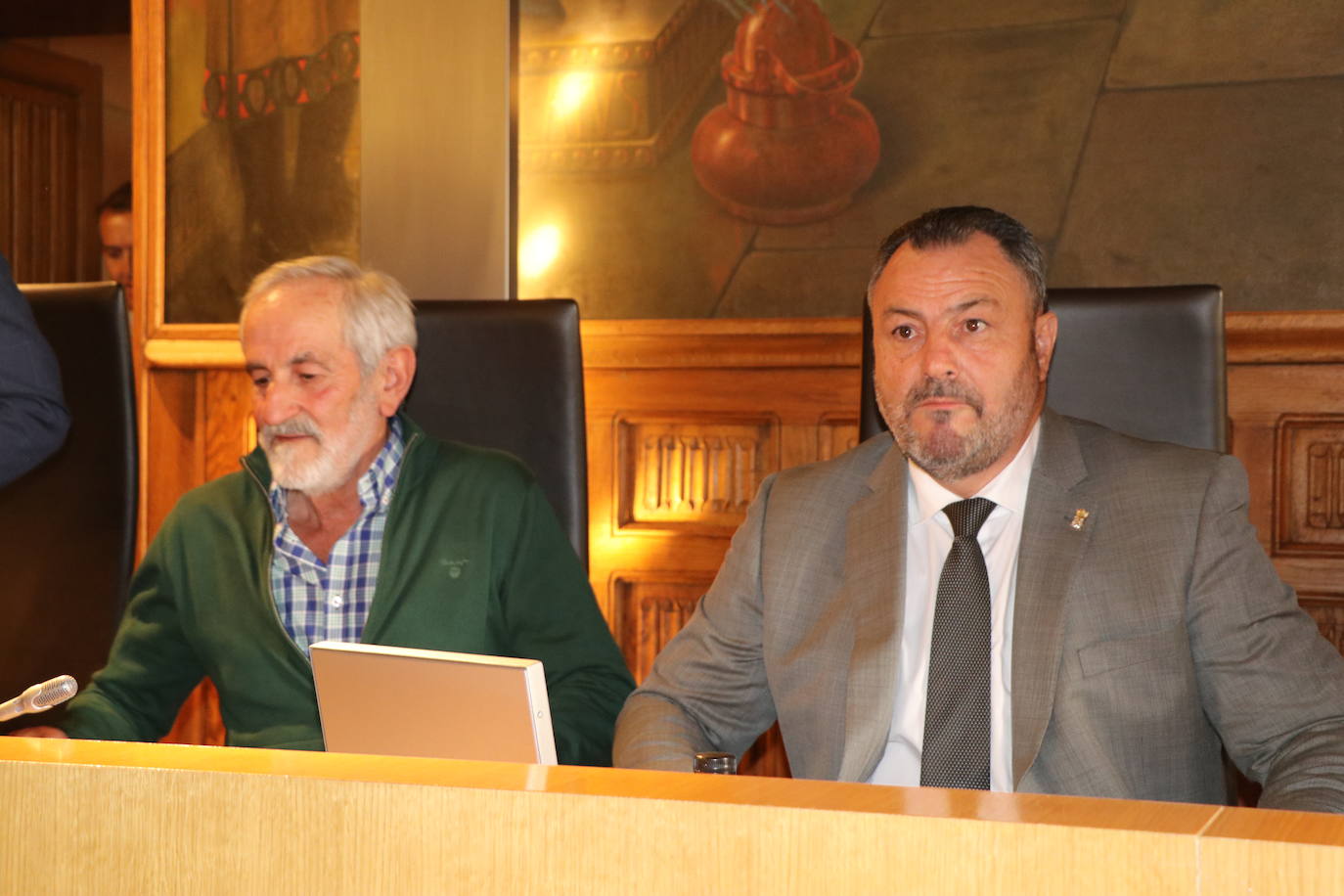 Fotos: Pleno de Organización en la Diputación de León