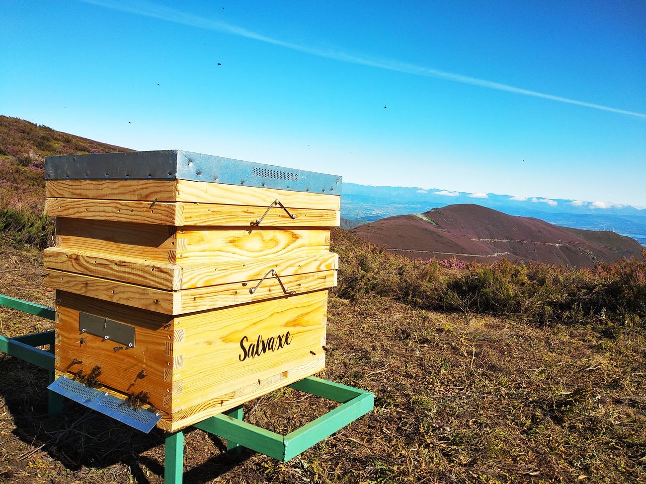 Miel Salvaxe, calidad, etiqueta ecológica y producto artesano