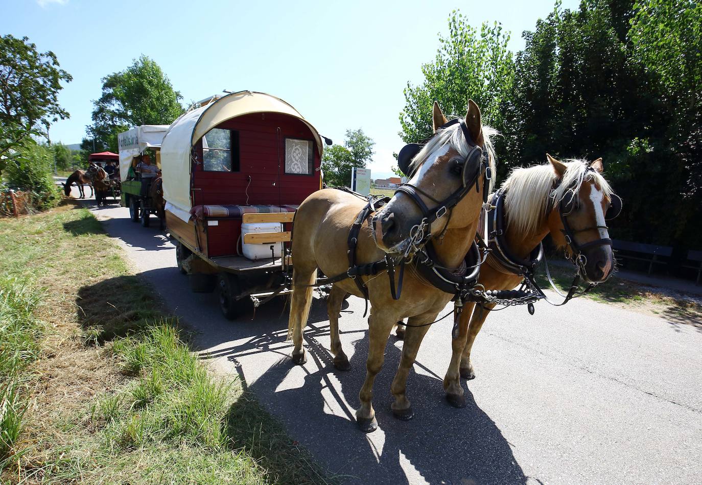 Fotos: Peregrinos en diligencia a su paso por Ponferrada