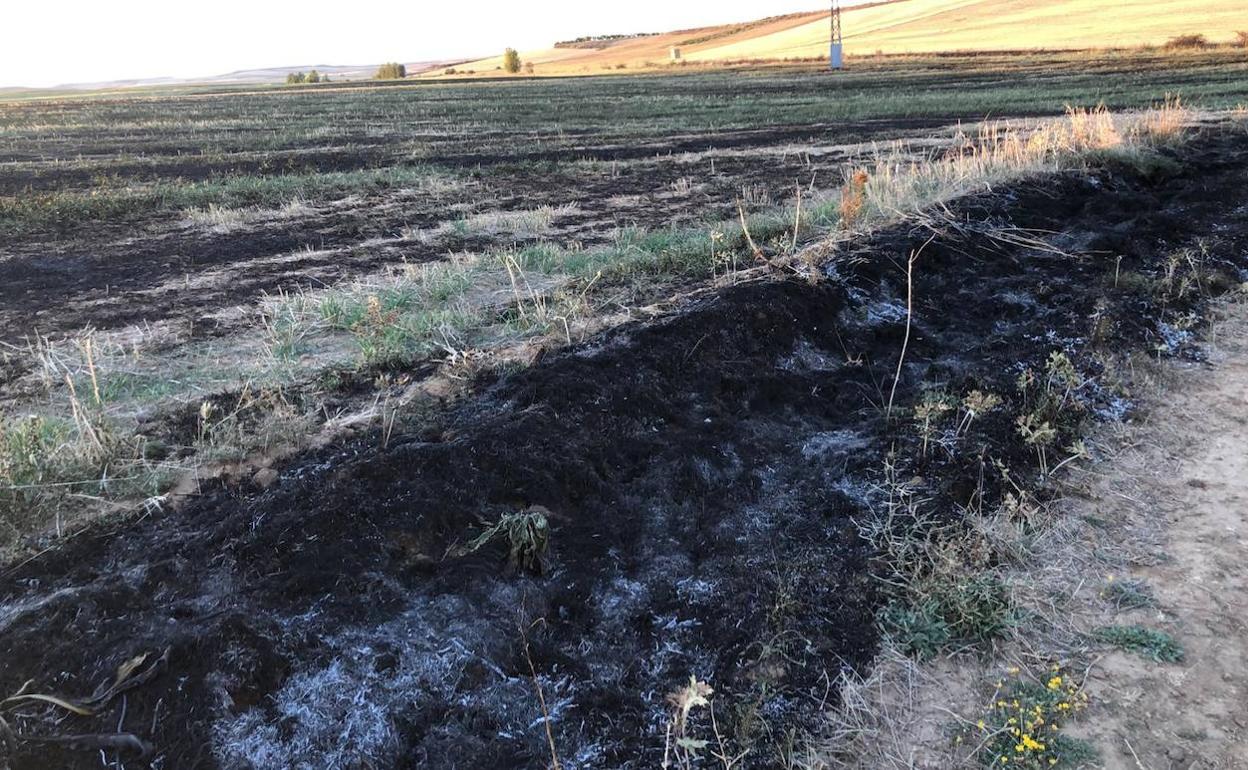 Imagen de un fuego este miércoles en San Pedro de los Oteros.