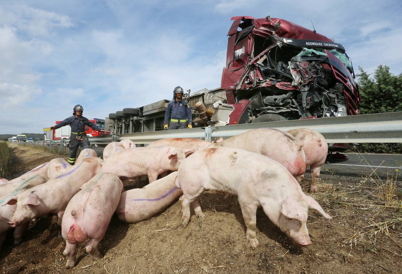 La colisión de un camión de cerdos contra un microbús obliga a cortar la A-62 a la altura de la localidad palentina de Cordovilla.