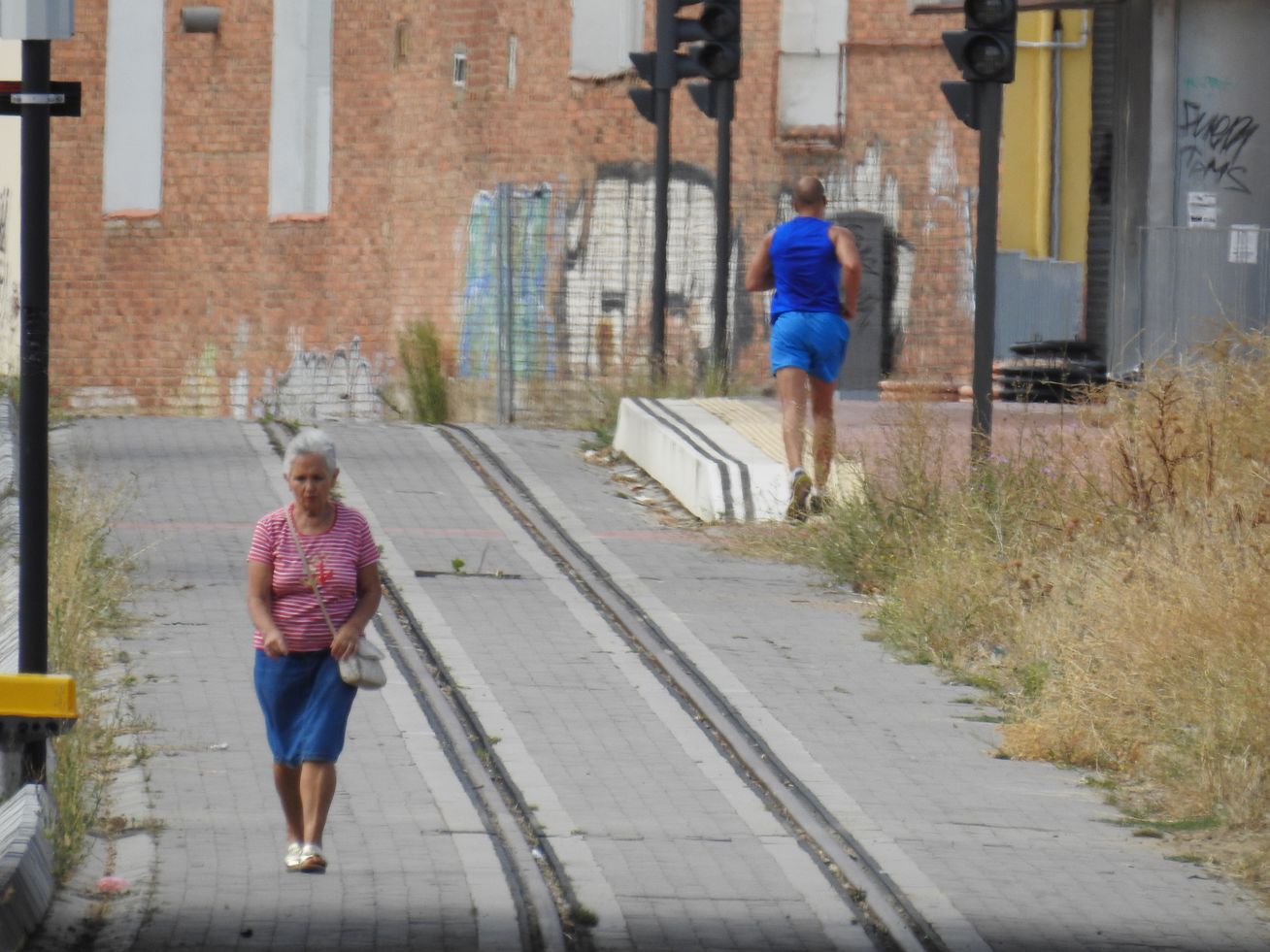 Trenes de Feve, este domingo, en La Asunción.