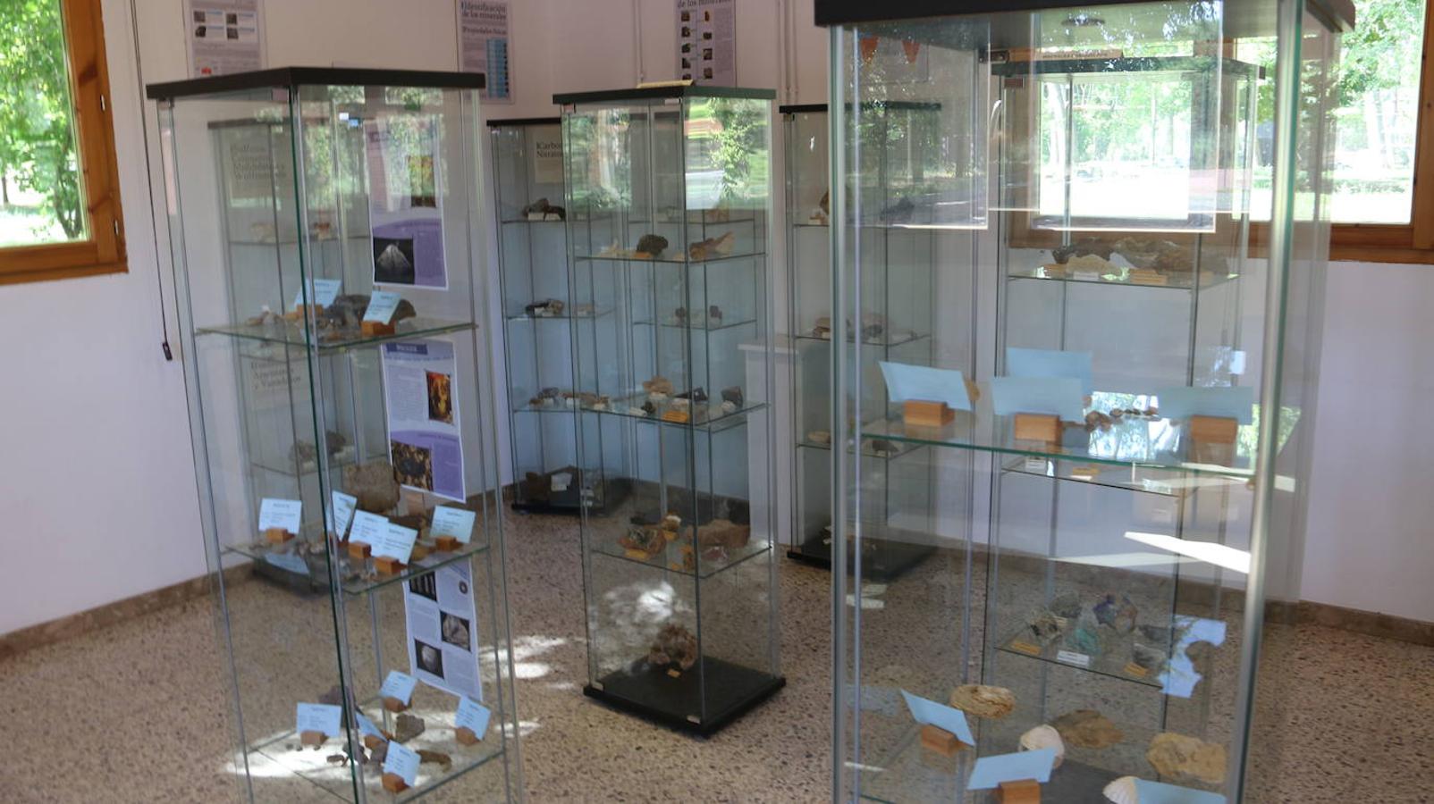 Fotos: Un ‘tesoro’ único de minerales y fósiles