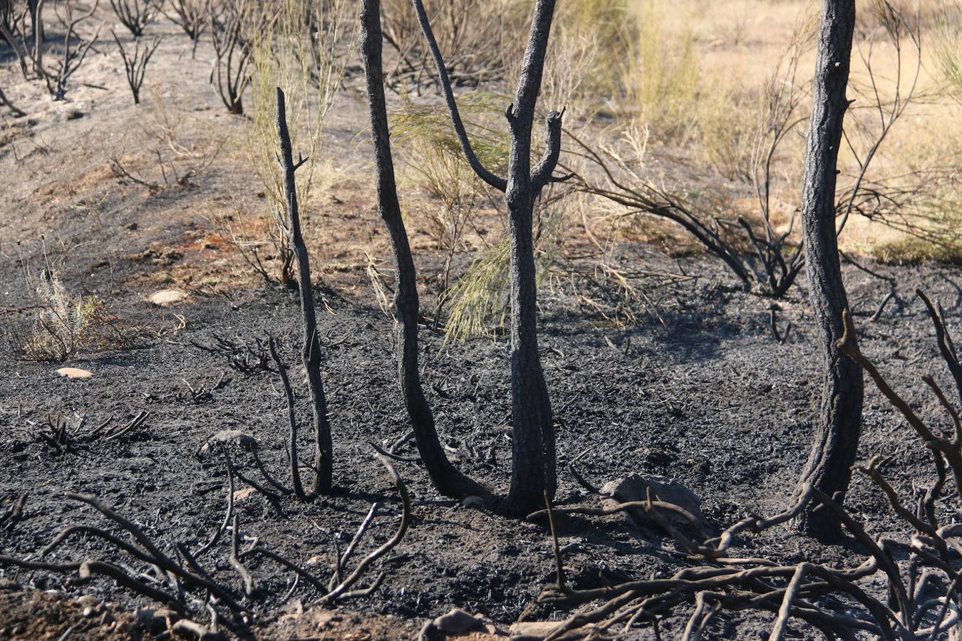 Fotos: Los restos del incendio de Villapadierna