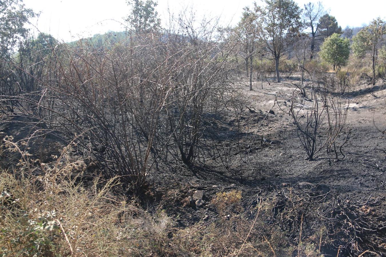 Fotos: Los restos del incendio de Villapadierna