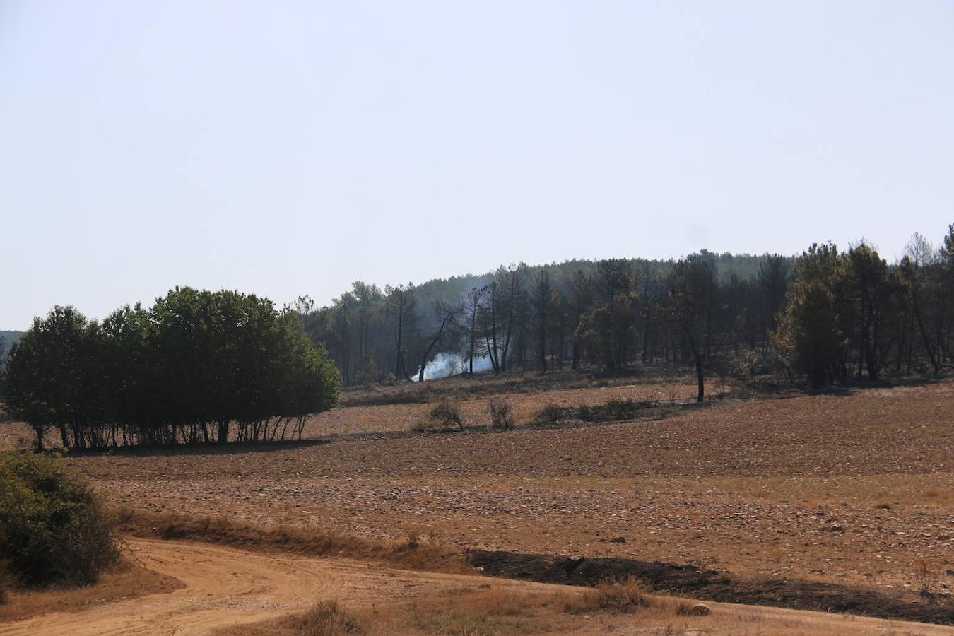 Fotos: Los restos del incendio de Villapadierna