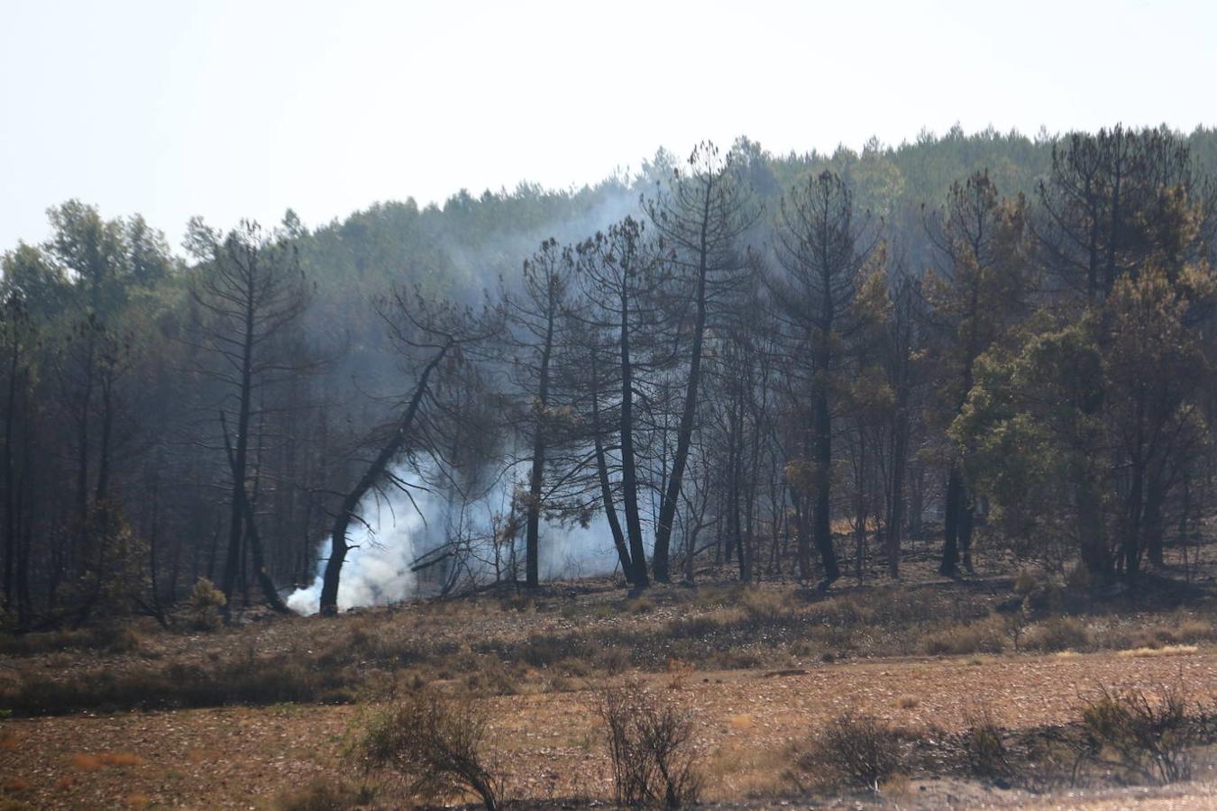 Fotos: Los restos del incendio de Villapadierna