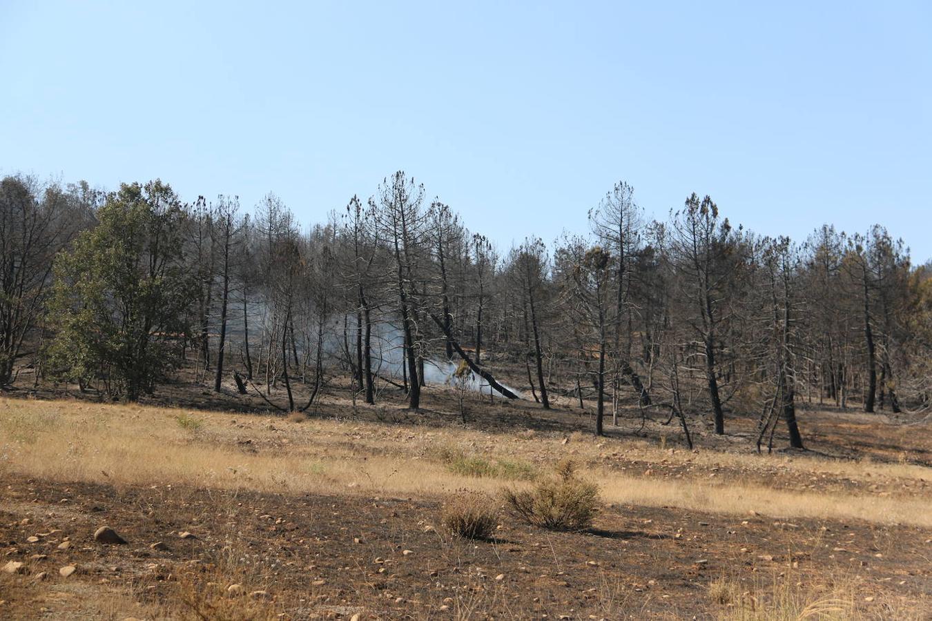 Fotos: Los restos del incendio de Villapadierna