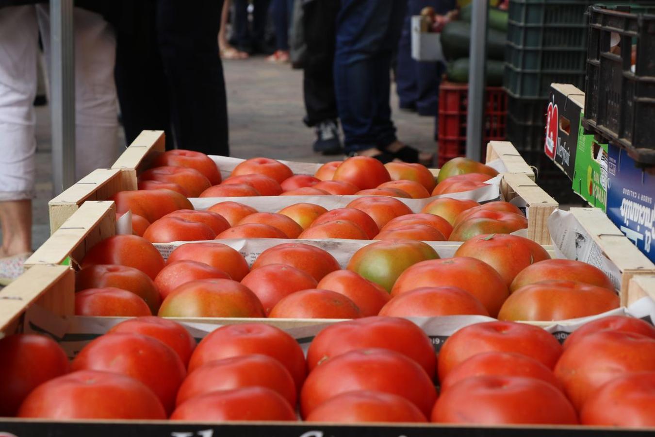 Fotos: 30 años celebrando con tomate