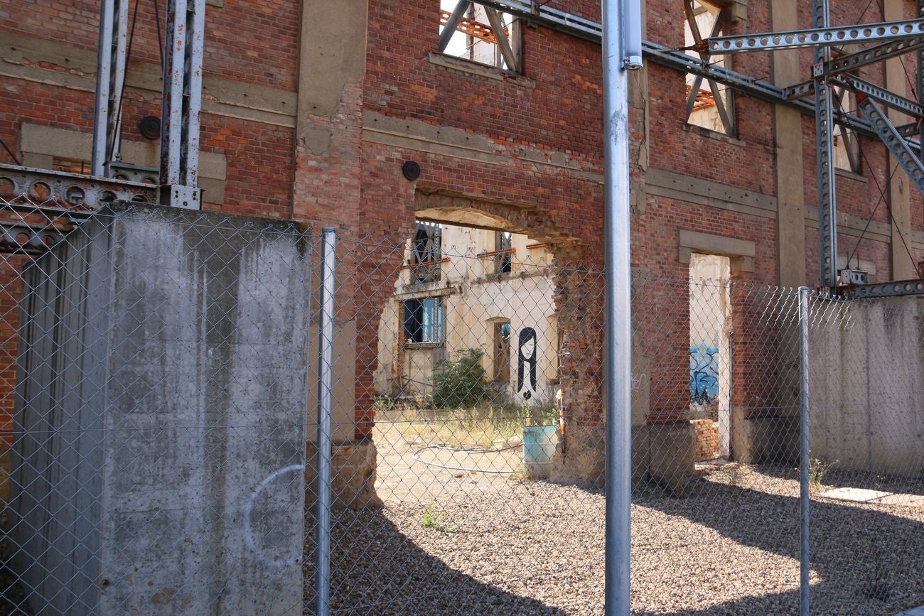 Afrodita sobre una pared del esqueleto del Palacio de Congresos de León.