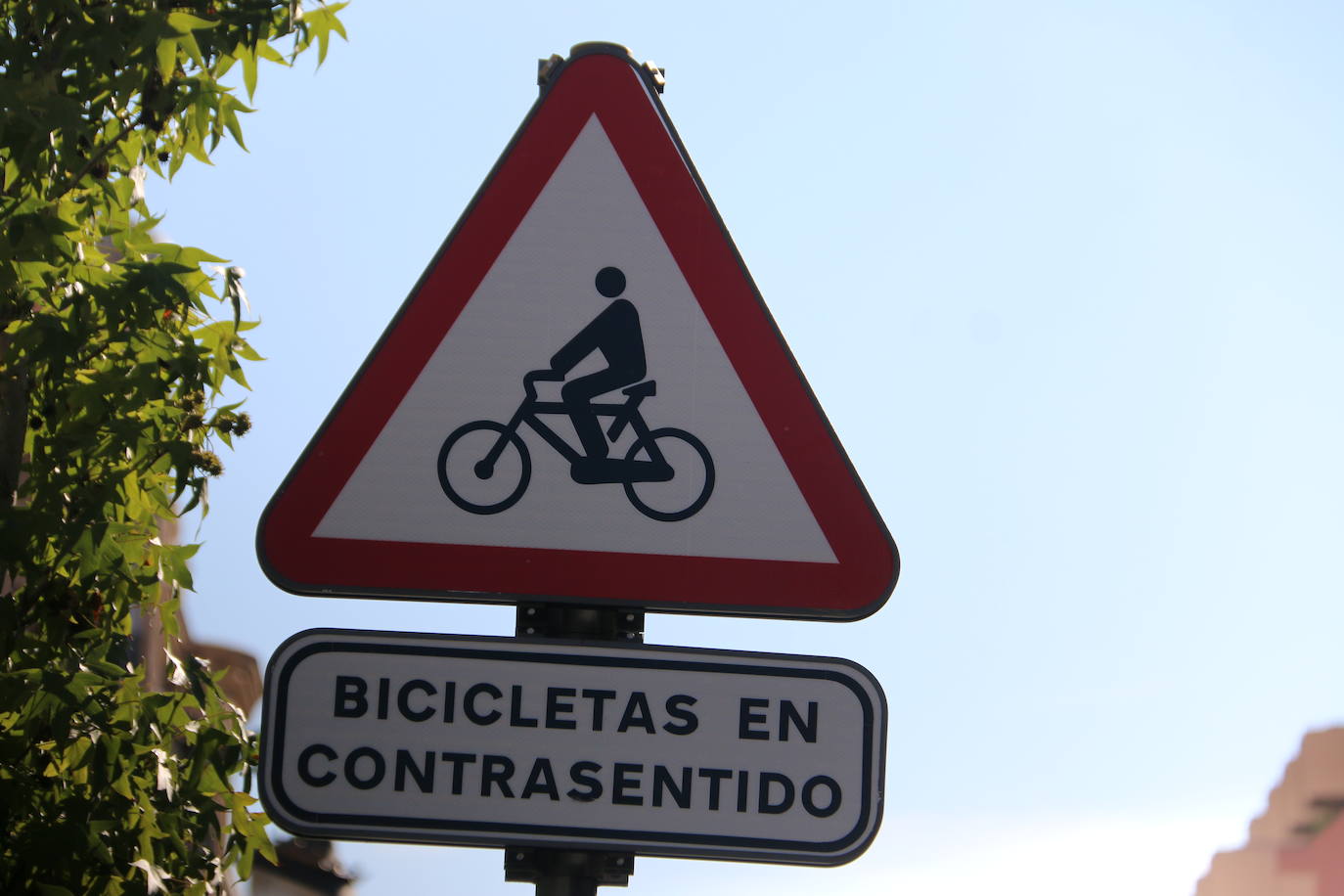 Fotos: El &#039;día 1&#039; del nuevo Ordoño II