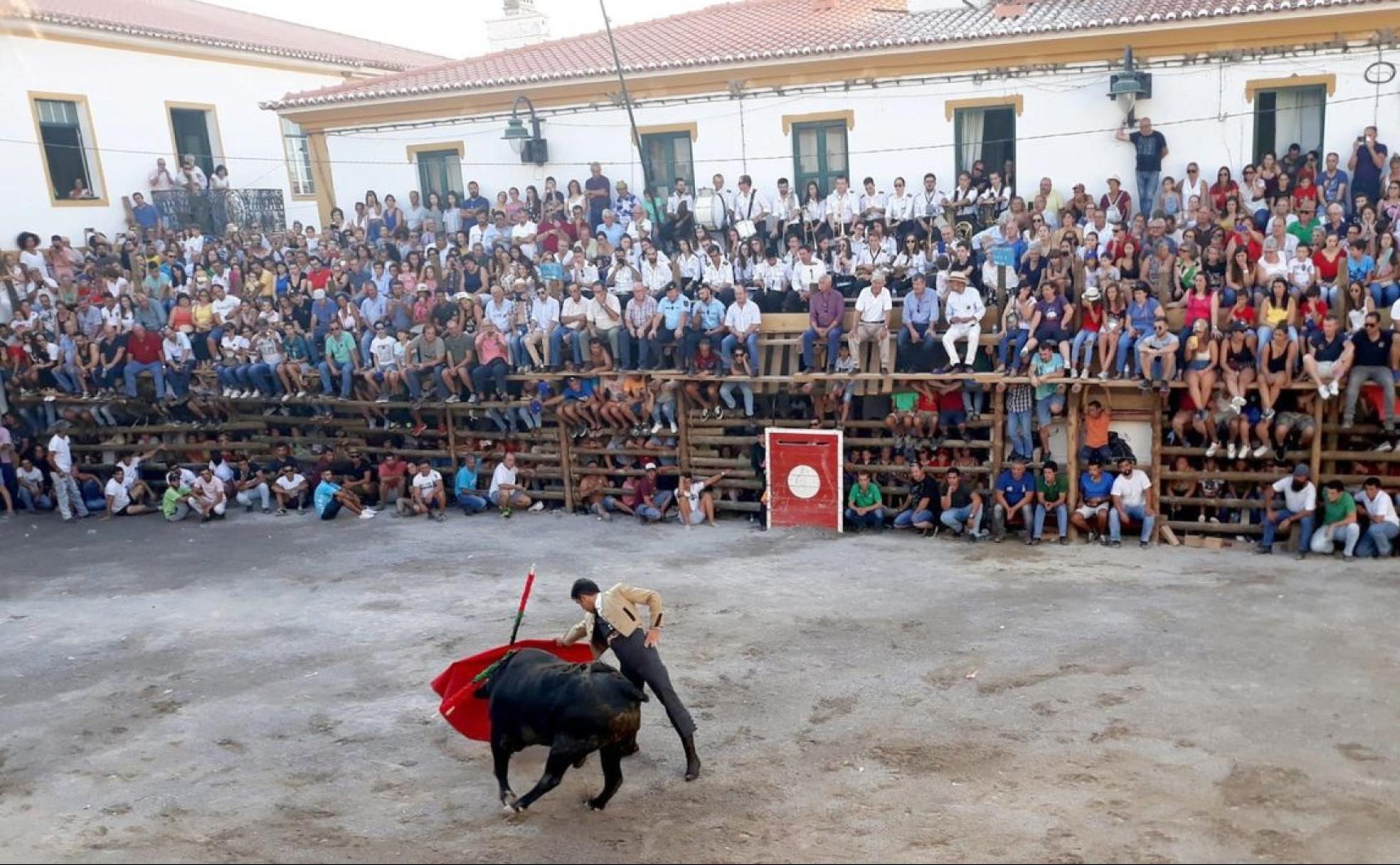 Javier Castaño, durante su actuación en la plaza de Barracos, donde la intensidad del público es evidente. 