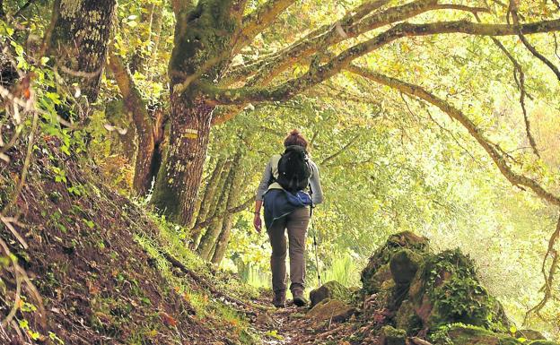 Barkley Marathons. Una carrera que solo han terminado 15 personas en 30 años. Y cada temporada lo intentan algo más de 60 deportistas. Es una de las más duras, y sin duda, la más sádica. Se desarrolla en un entorno muy peligroso de montaña. Los corredores tiene 60 horas para completar de un recorrido de 160 kilómetros por el bosque de Tennesse, al sur de Estados Unidos. Las imágenes hablan por si solas.