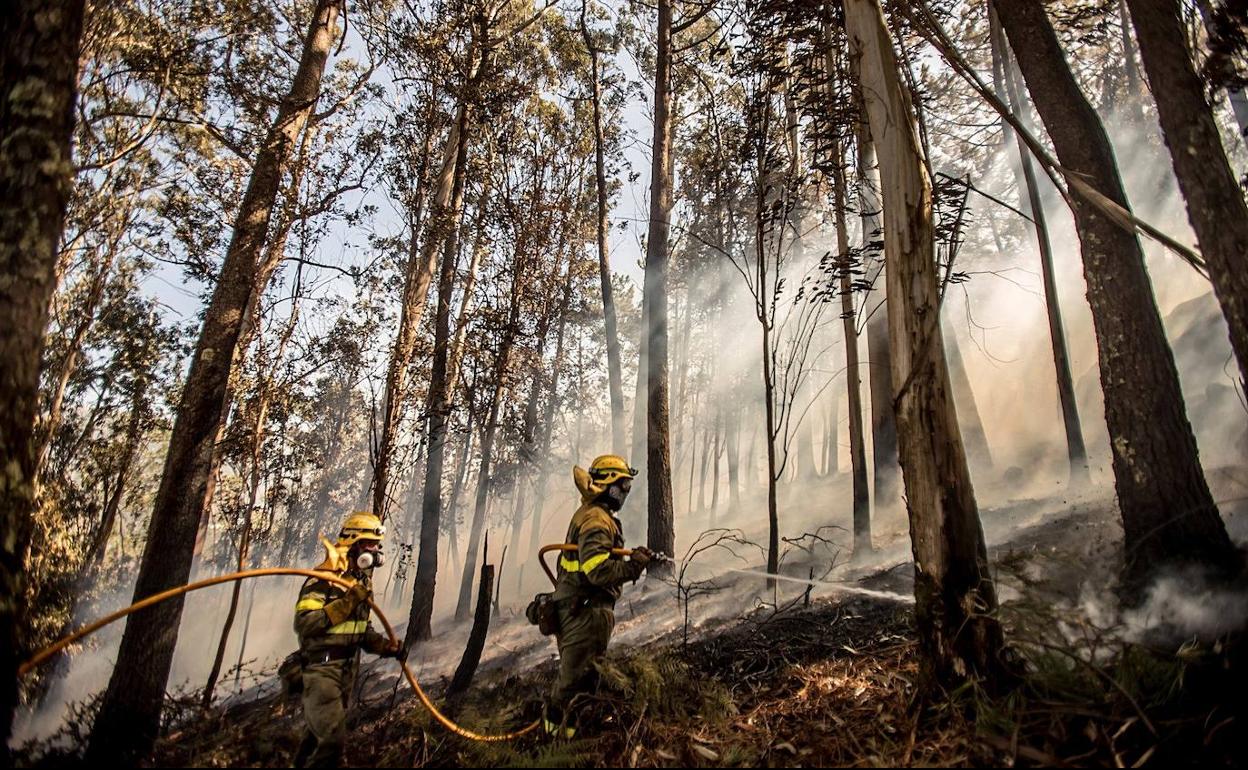 Un grupo de bomberos trabaja en las labores de extinción del incendio forestal declarado este jueves en la localidad coruñesa de Porto do Son. 