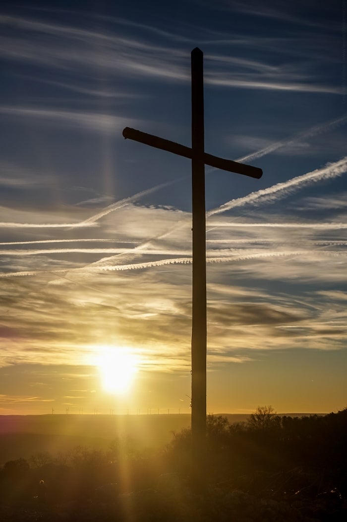 Fotos: El Camino, en fotos