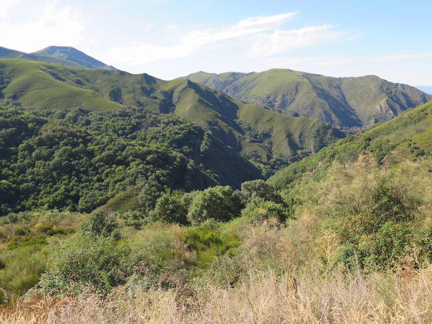 Fotos: La Tebaida Berciana respira de nuevo