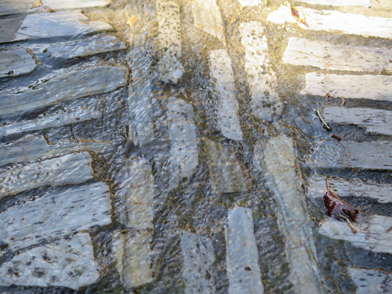 Fotos: La Tebaida Berciana respira de nuevo