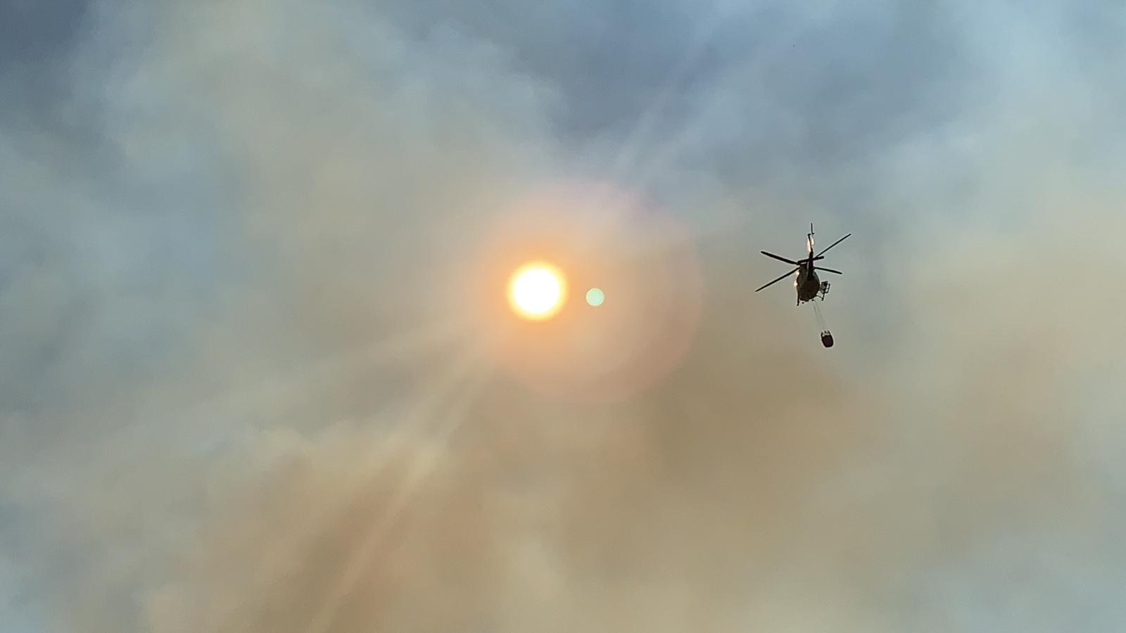 Fotos: Fuego en Santa Olaja