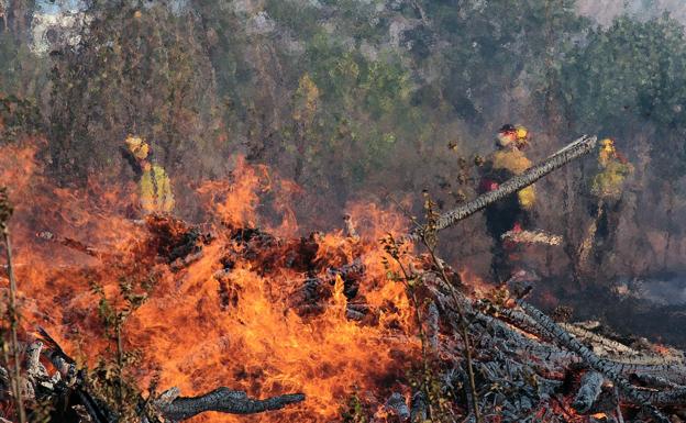 Galería. Imagen del incendio en Santa Olaja.