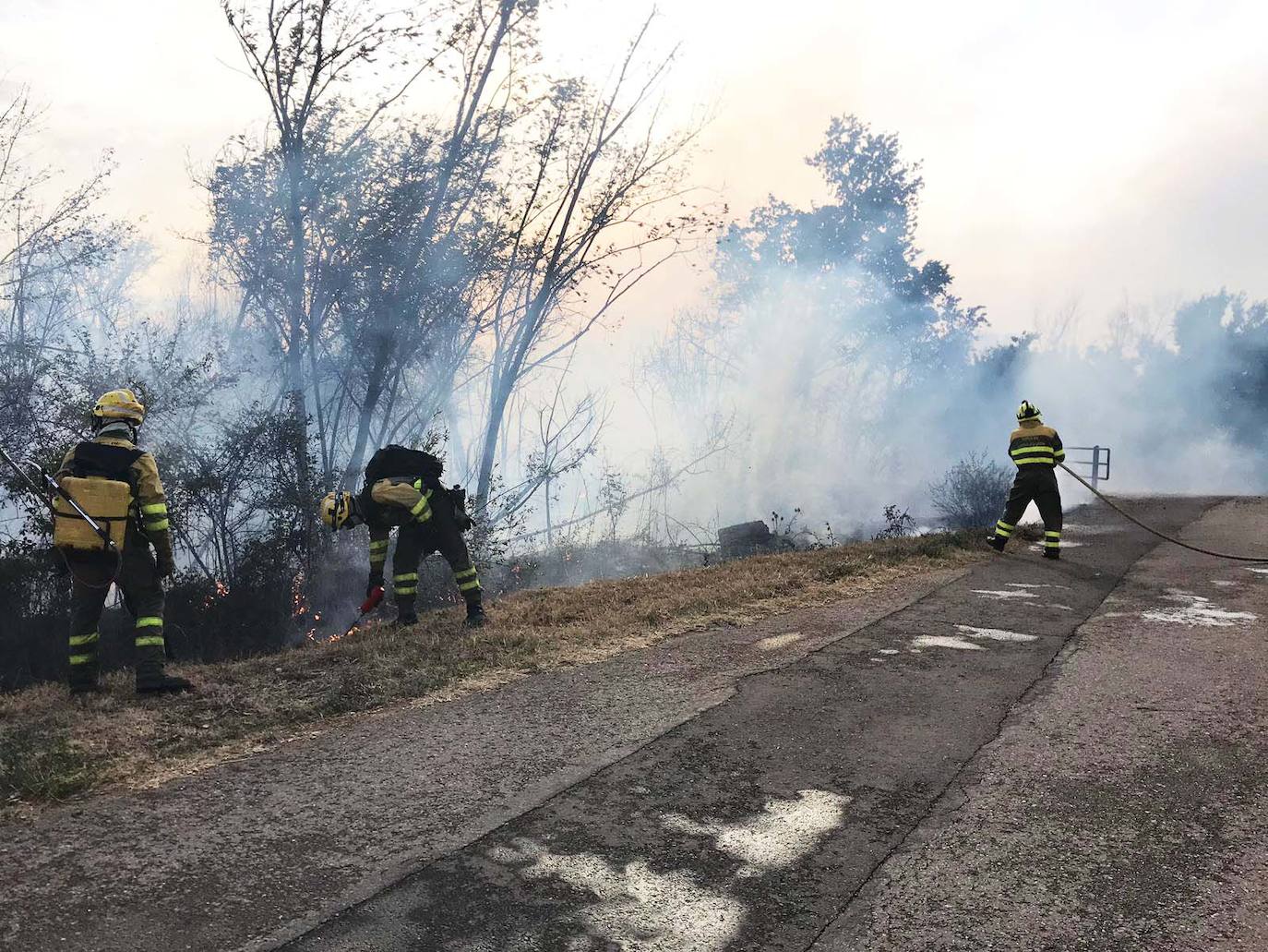 El fuego vuelve a Santa Olaja de la Ribera este viernes.